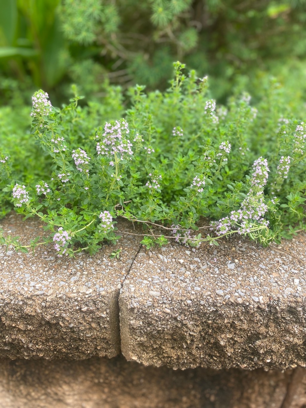 🧼 So Fresh and So&nbsp;Clean