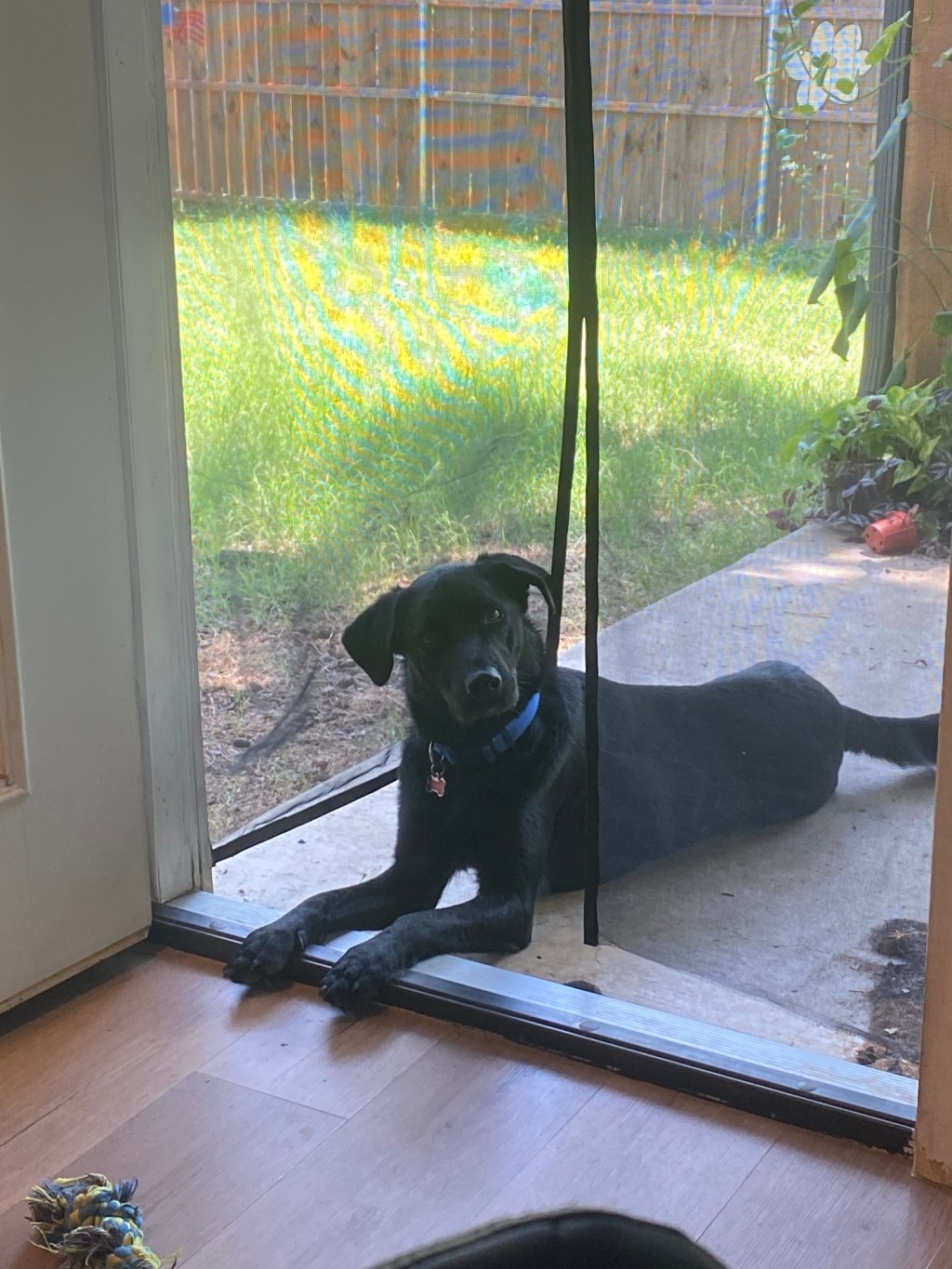 ✨ Anxious, But Still Showing&nbsp;Up