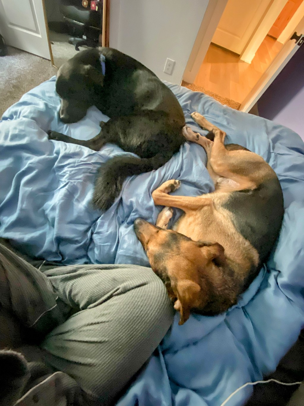 Releasing Rigidity, Embracing Flow&nbsp;💫